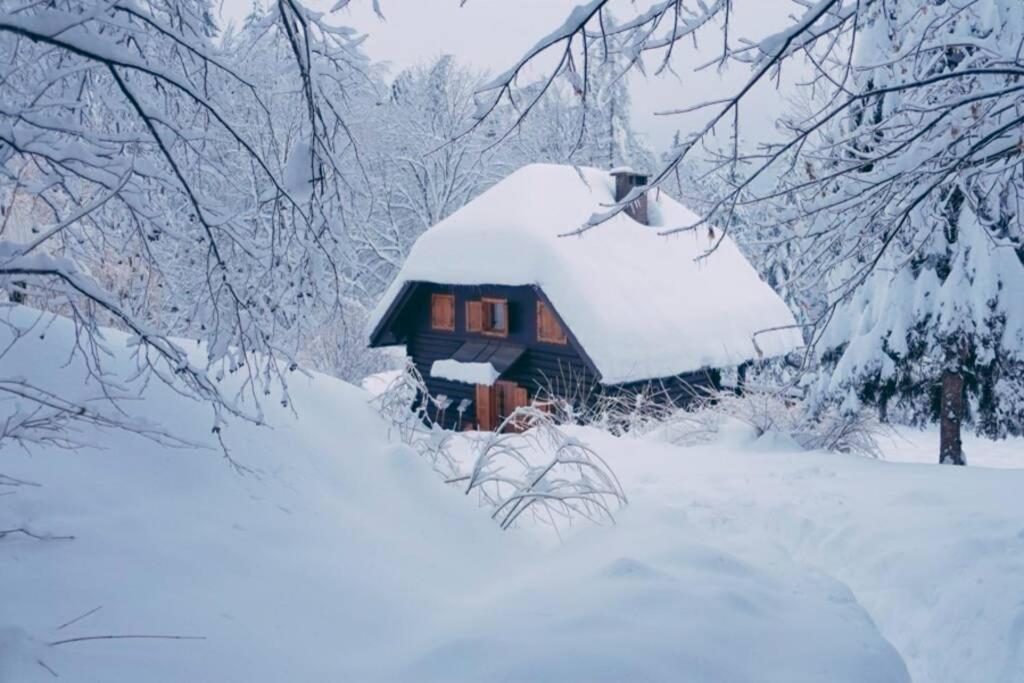 Cottage In The Woods - Lake Bohinj Exteriér fotografie